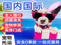 满洲里机场快运国际宠物托运 【国